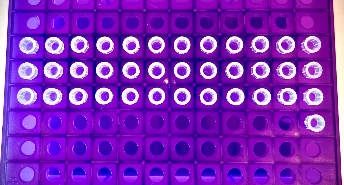 biobank samples